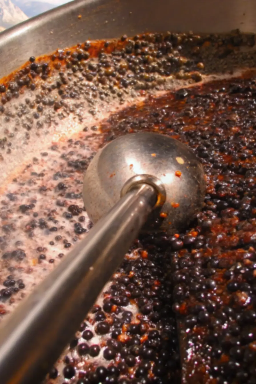 Easy elderberry syrup you can make at home with just a few ingredients. Naturally supports wellness and tastes delicious.
